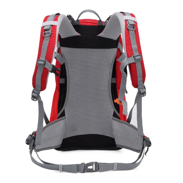 دارای توری ضد تعریق