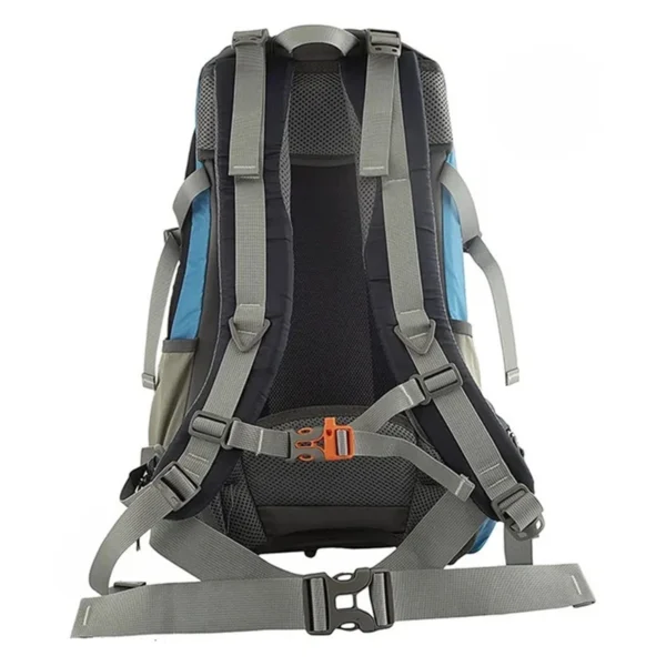 کوله پشتی امیگرنت 32 لیتری نمای پشت کوله